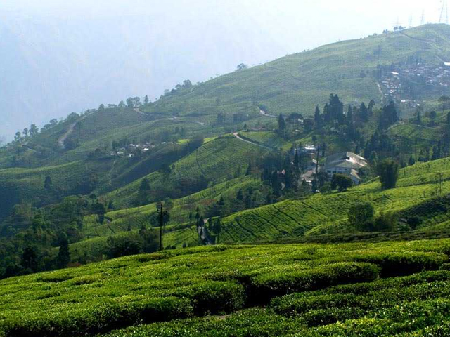 Bunkulung