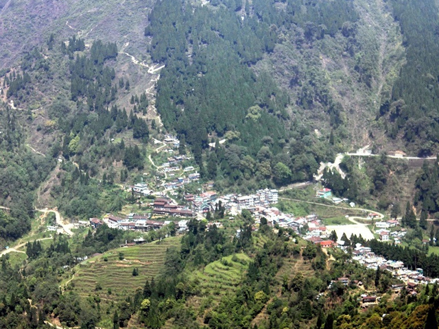 Shimana